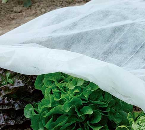 Nonwoven Fabric To Cover Plant